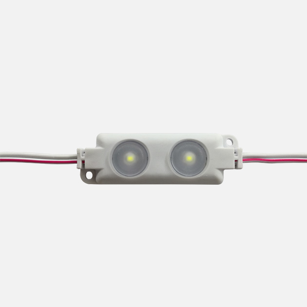 2LED 2835SMD Injection Module