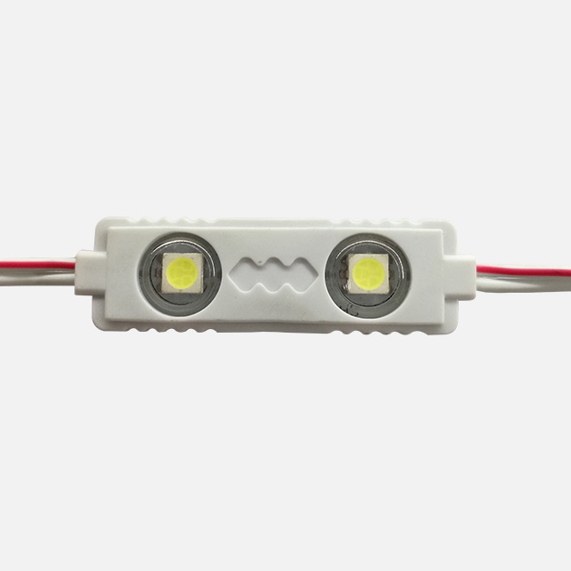 2LED 5050SMD Injection Module