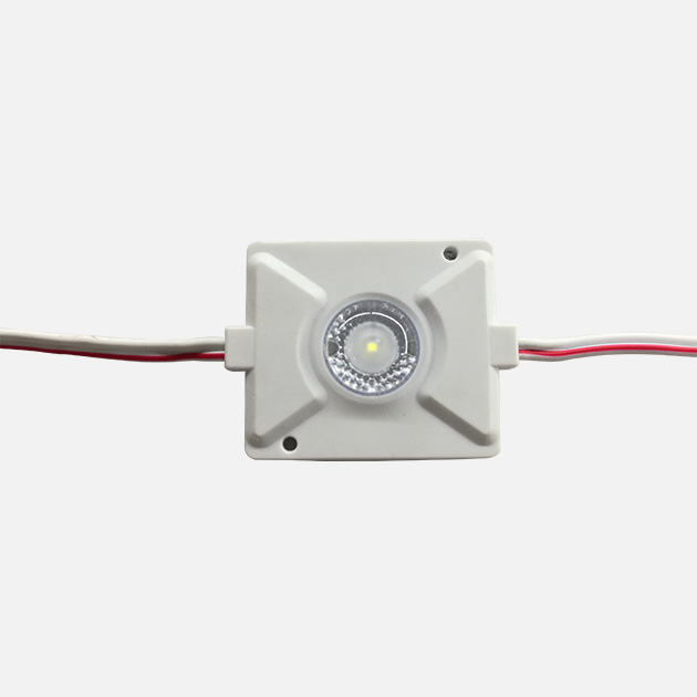 3030 Injection Module