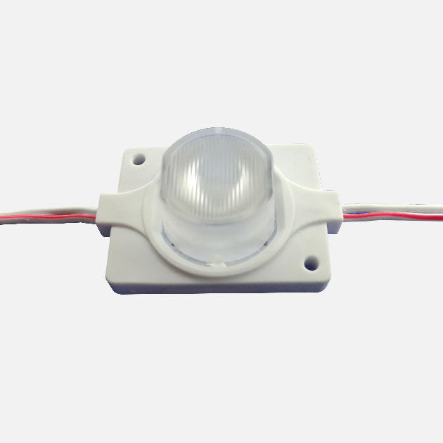 3030 Injection Module