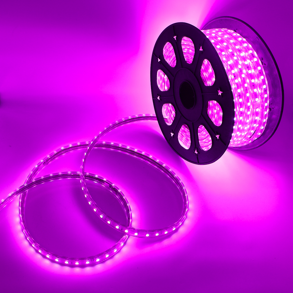 220V High voltage RGB LED Strip Light