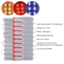 LED Module - 12 Lamps LED Modules