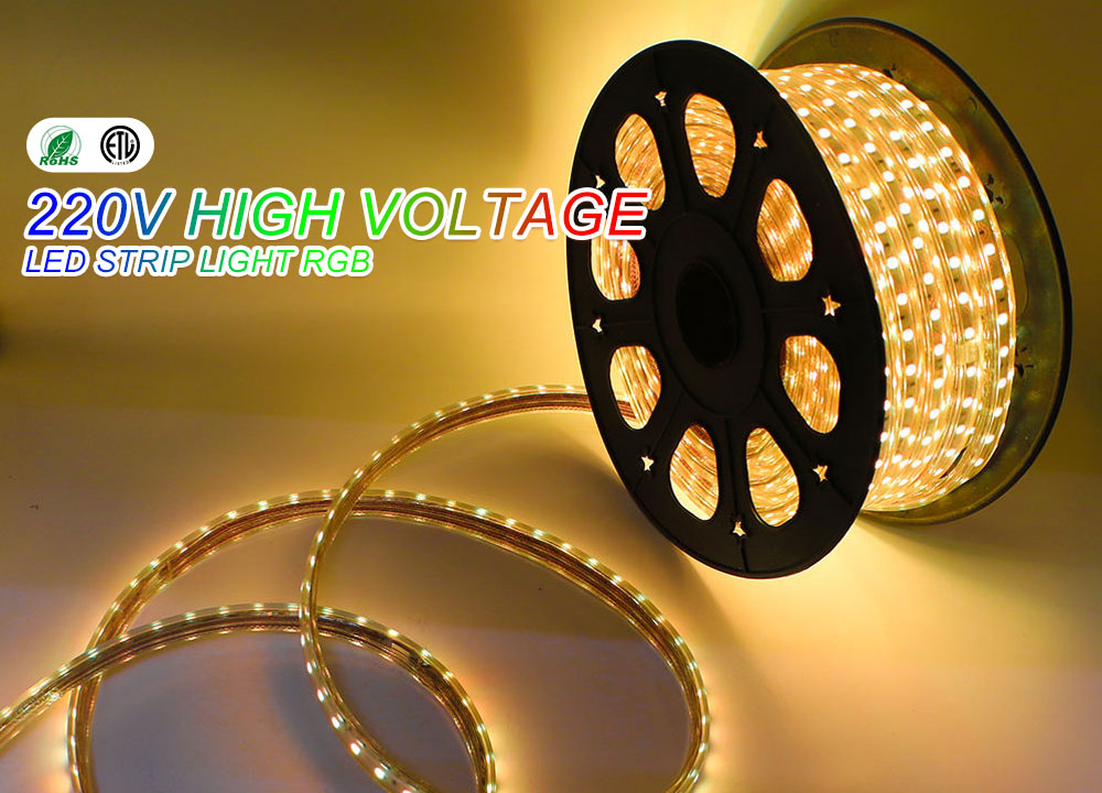 New Arrival:110V/220V High Voltage Strip