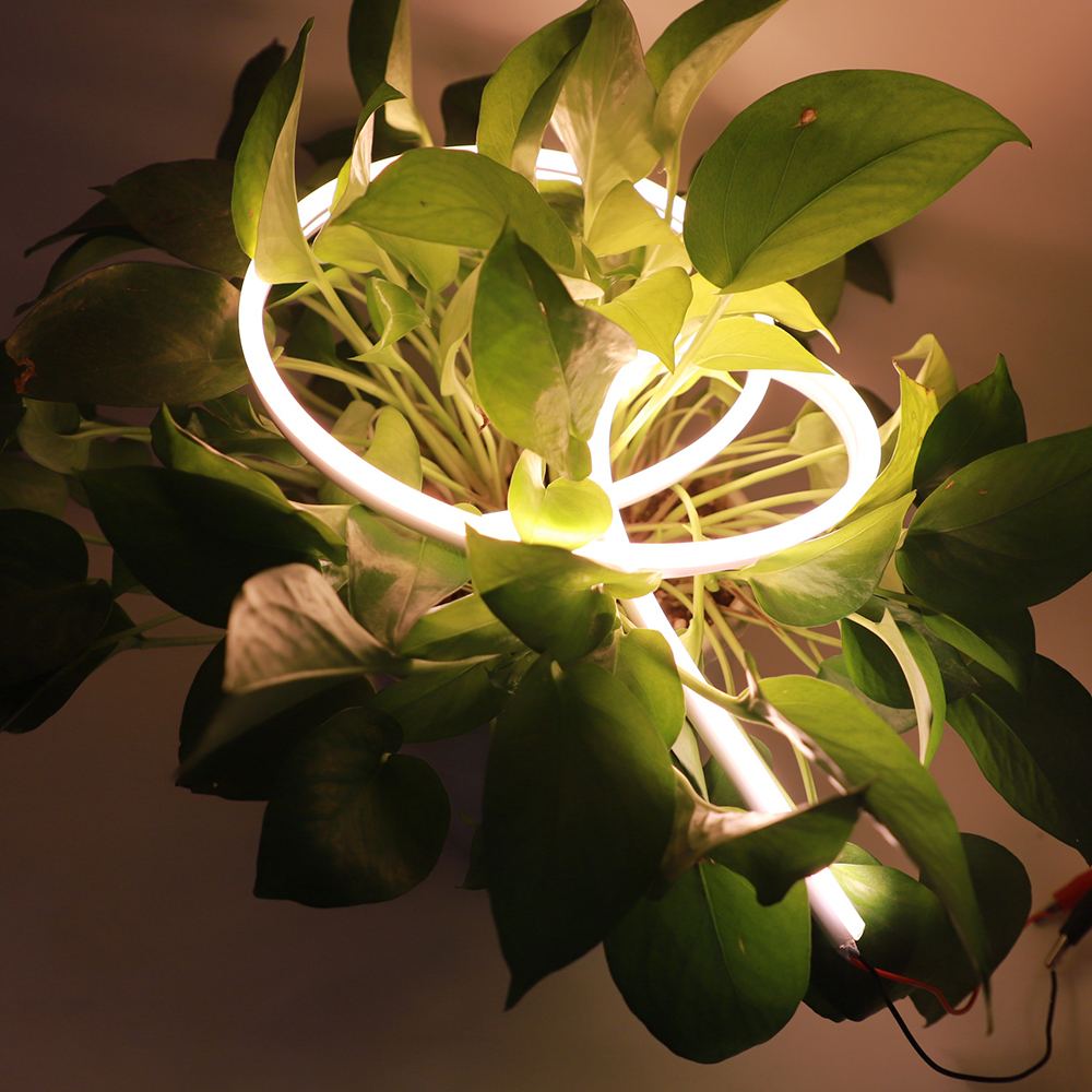 0713 neon light