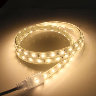 220V/110V IP68 waterproof  LED strip light